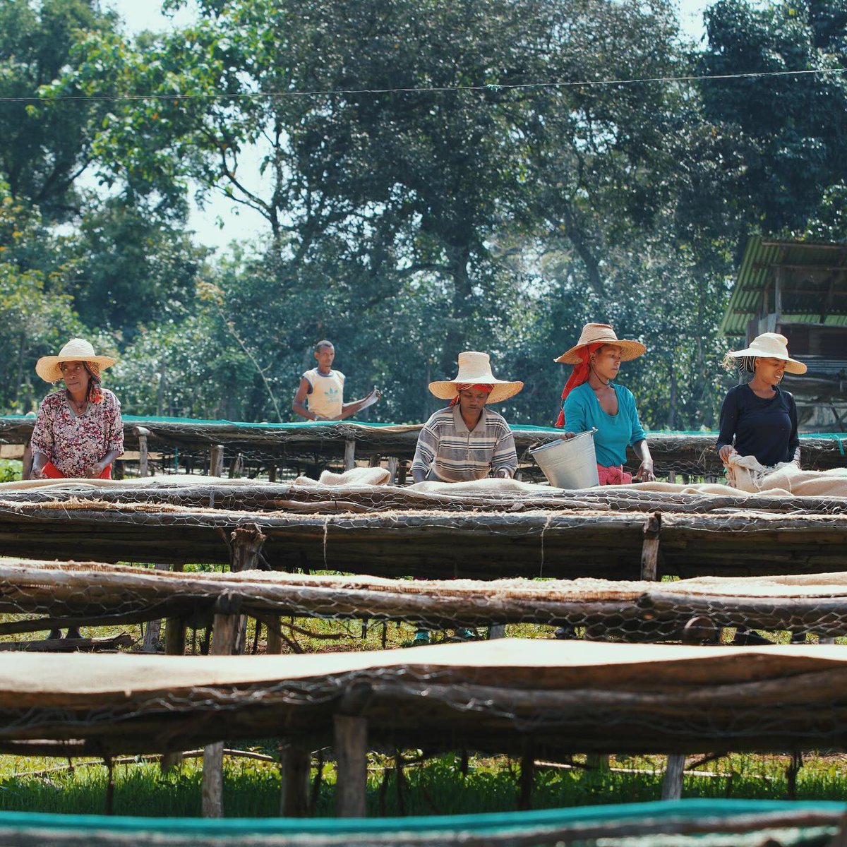 Abinet Teshome tweet media