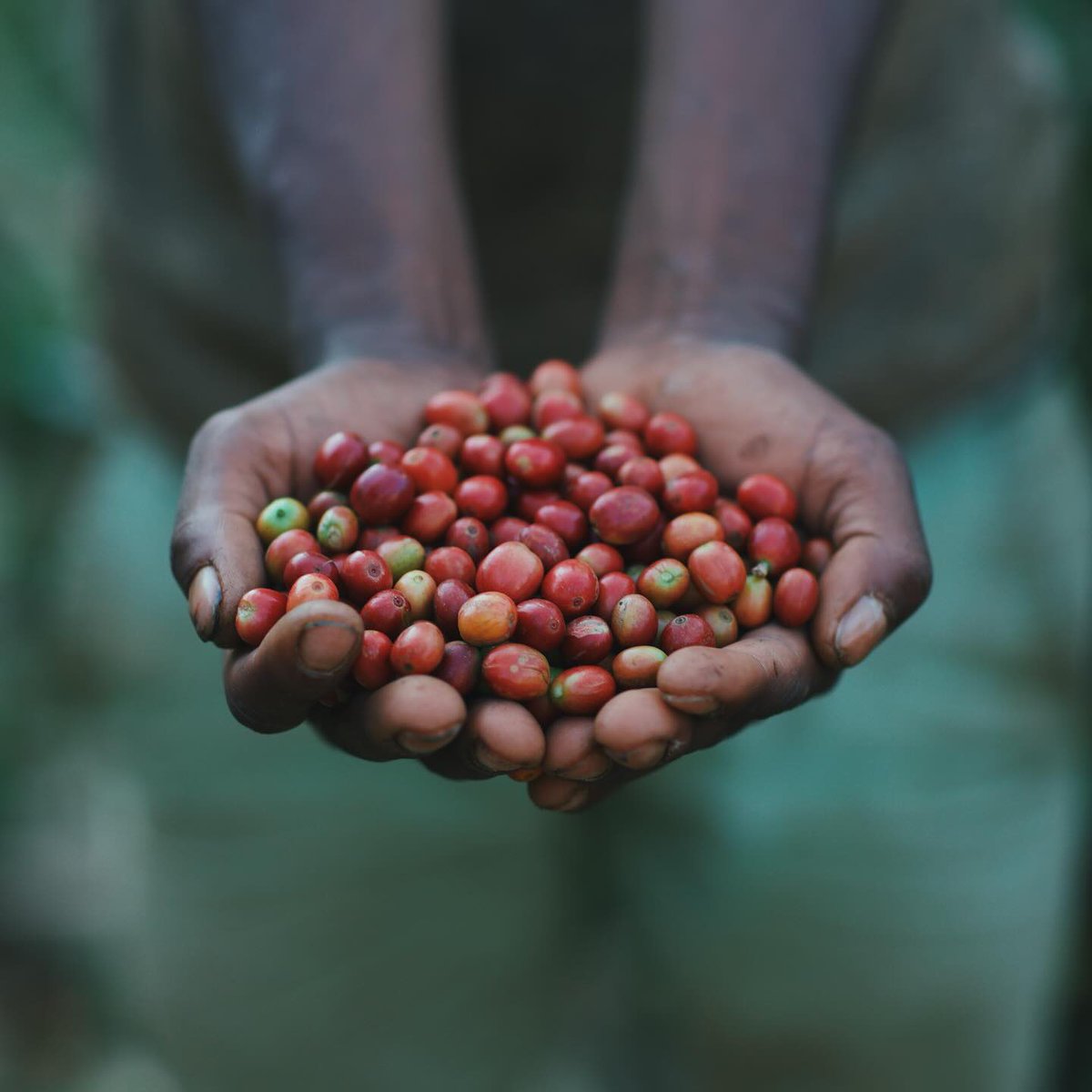 Abinet Teshome tweet media