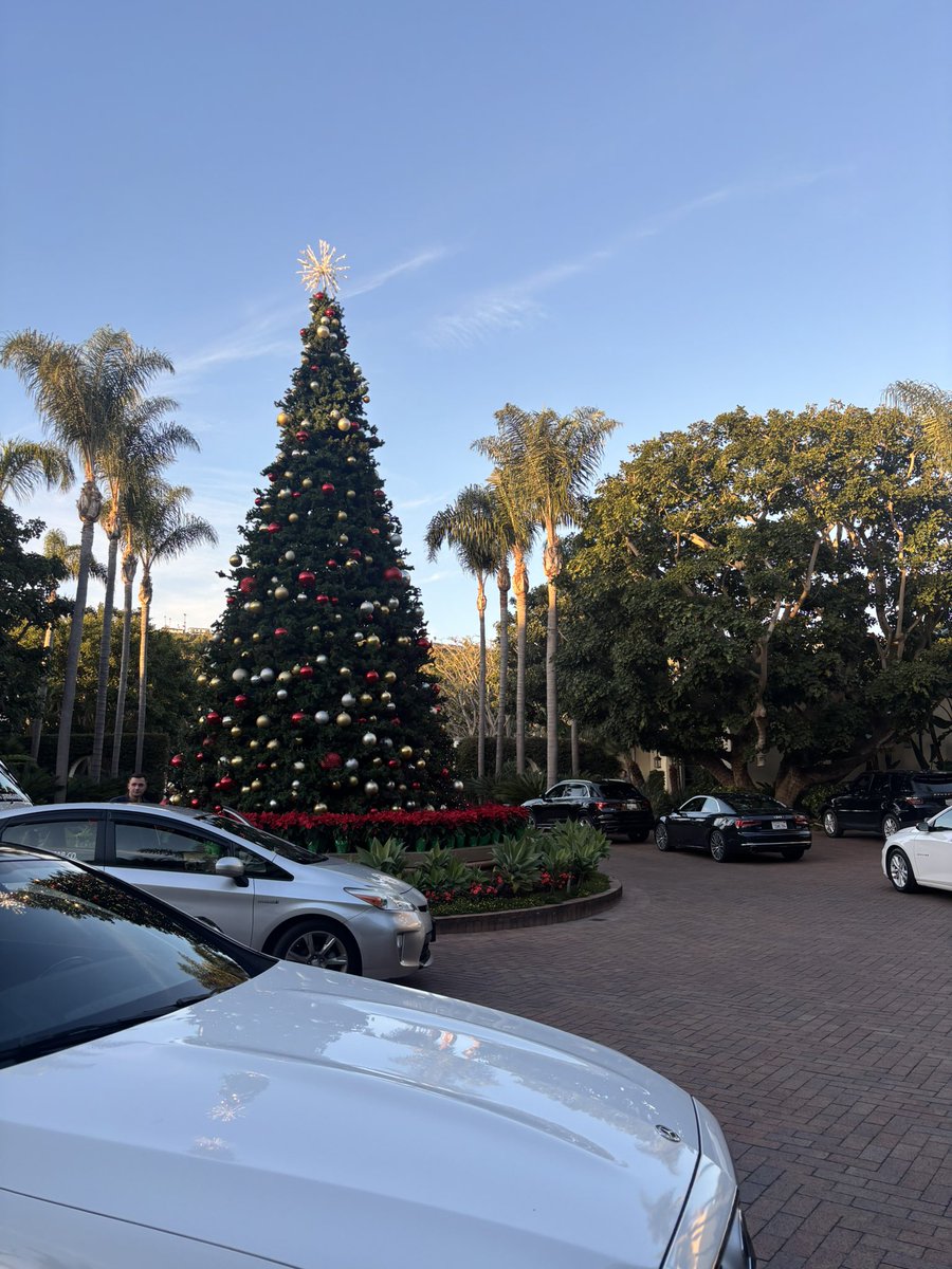 sofia gomez tweet media