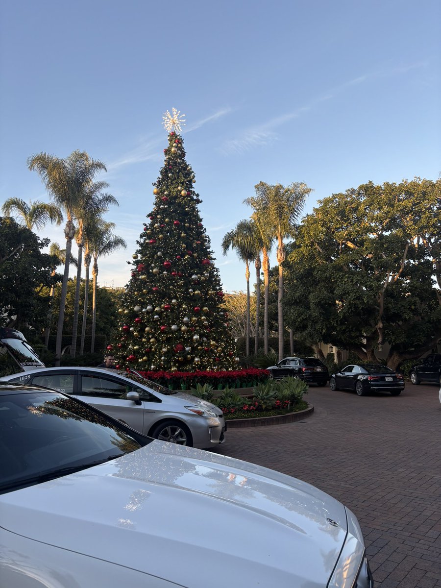 sofia gomez tweet media