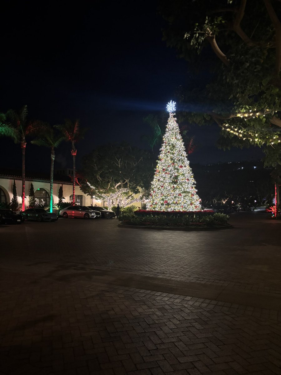 sofia gomez tweet media