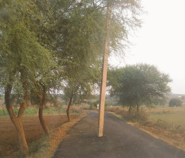 ये चित्र कुछ पुराना है,  अभियांत्रिकी का गजब नमूना है, रोड के मध्य में बिजली का खंभा शान से खड़ा है वाहन के लिए शायद खंभा खुद हटकर रास्ता दे देगा। फिर वापस खड़ा हो जायेगा।