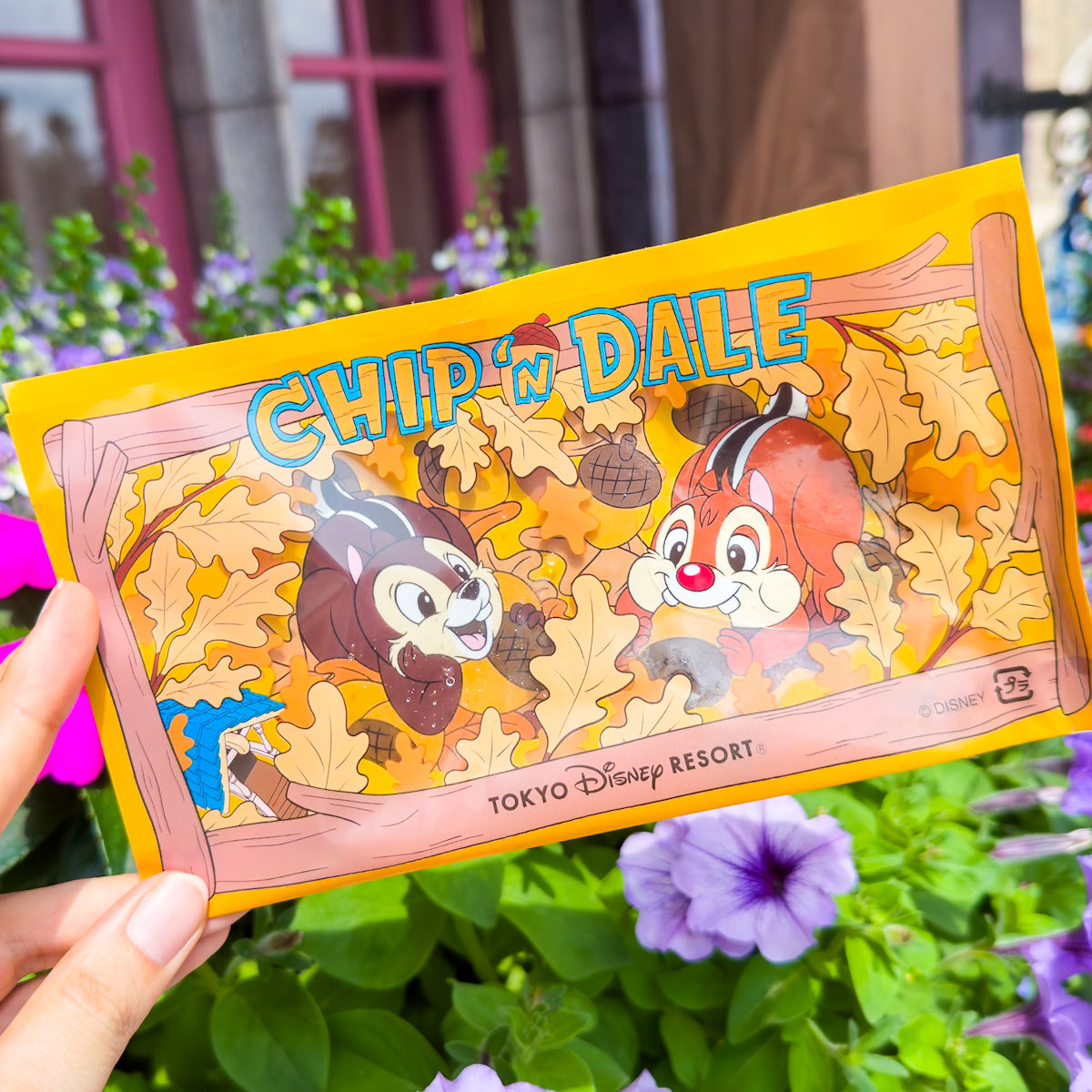 再々値下★TDR カントリーベア チップとデール メモスタンド ディズニー 再々値下☆TDR カントリーベア チップとデール メモスタンド