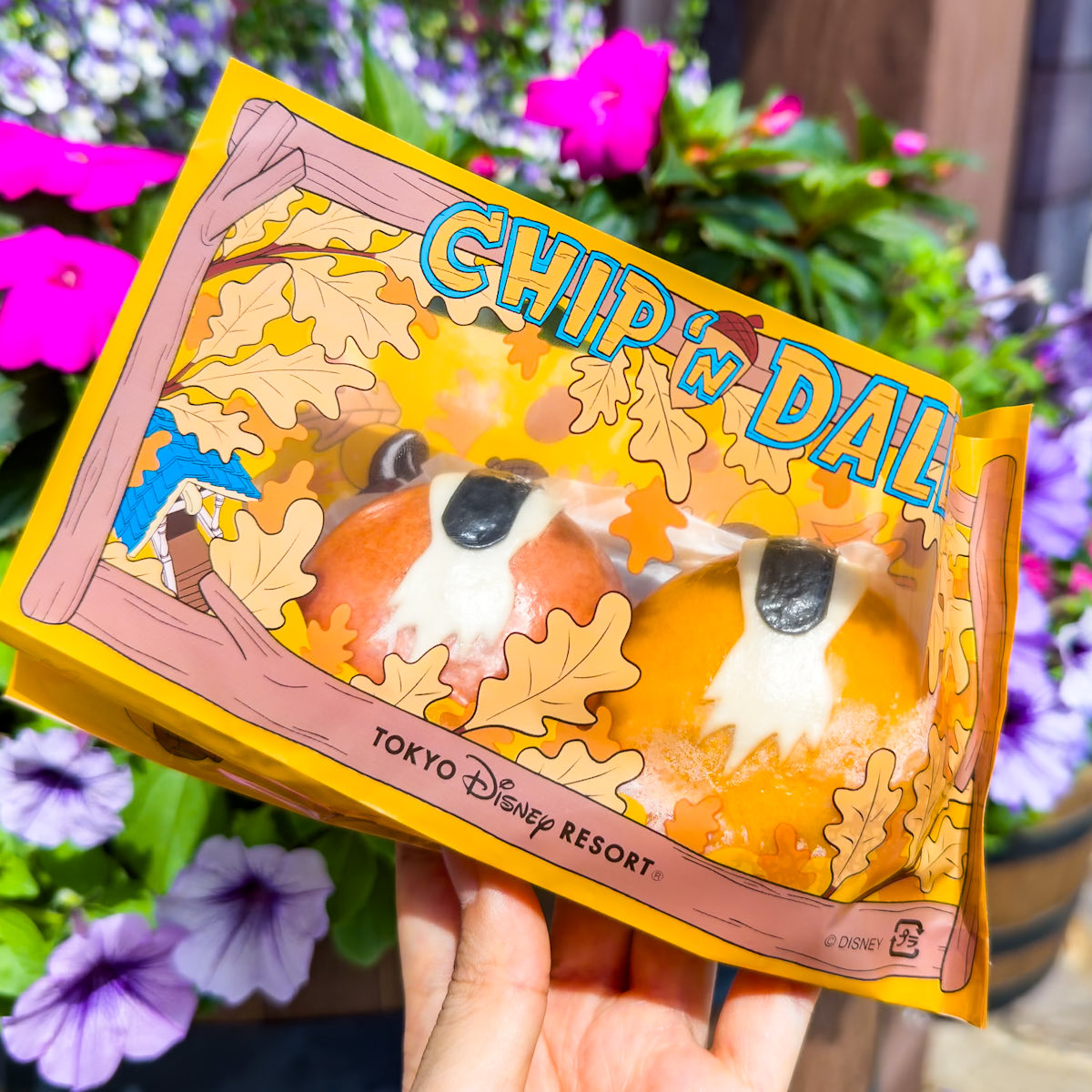 しっぽデザインがかわいい！ 東京ディズニーランド 「トゥーントーン