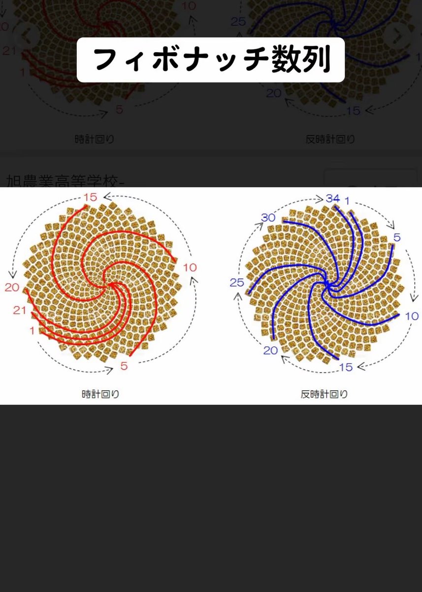 フィボナッチ数列