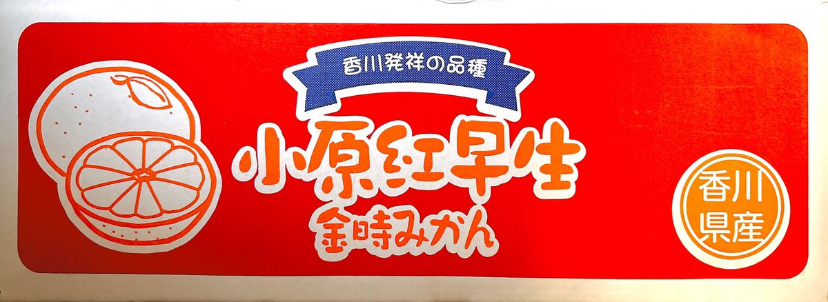 ぱっち tweet media
