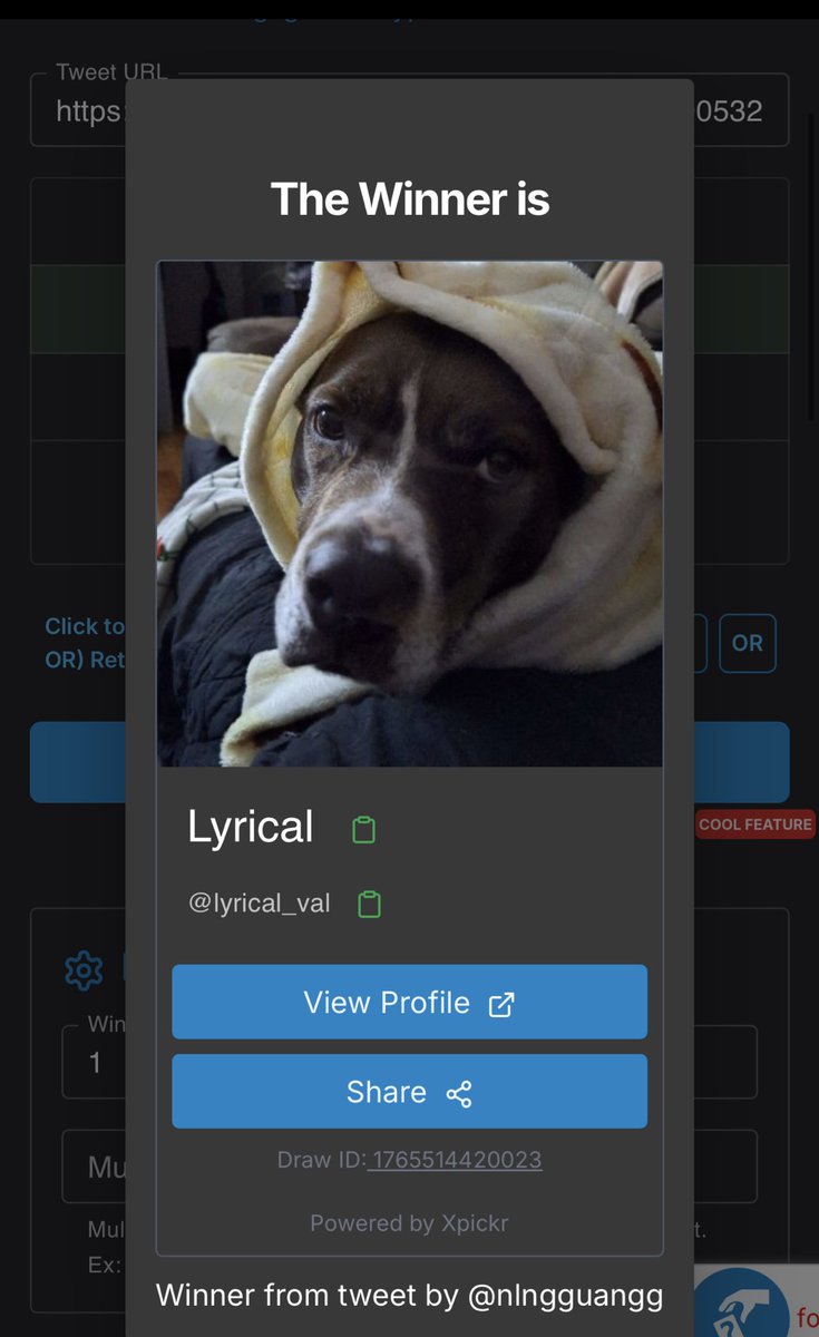 tish sr mel enjoyer tweet media