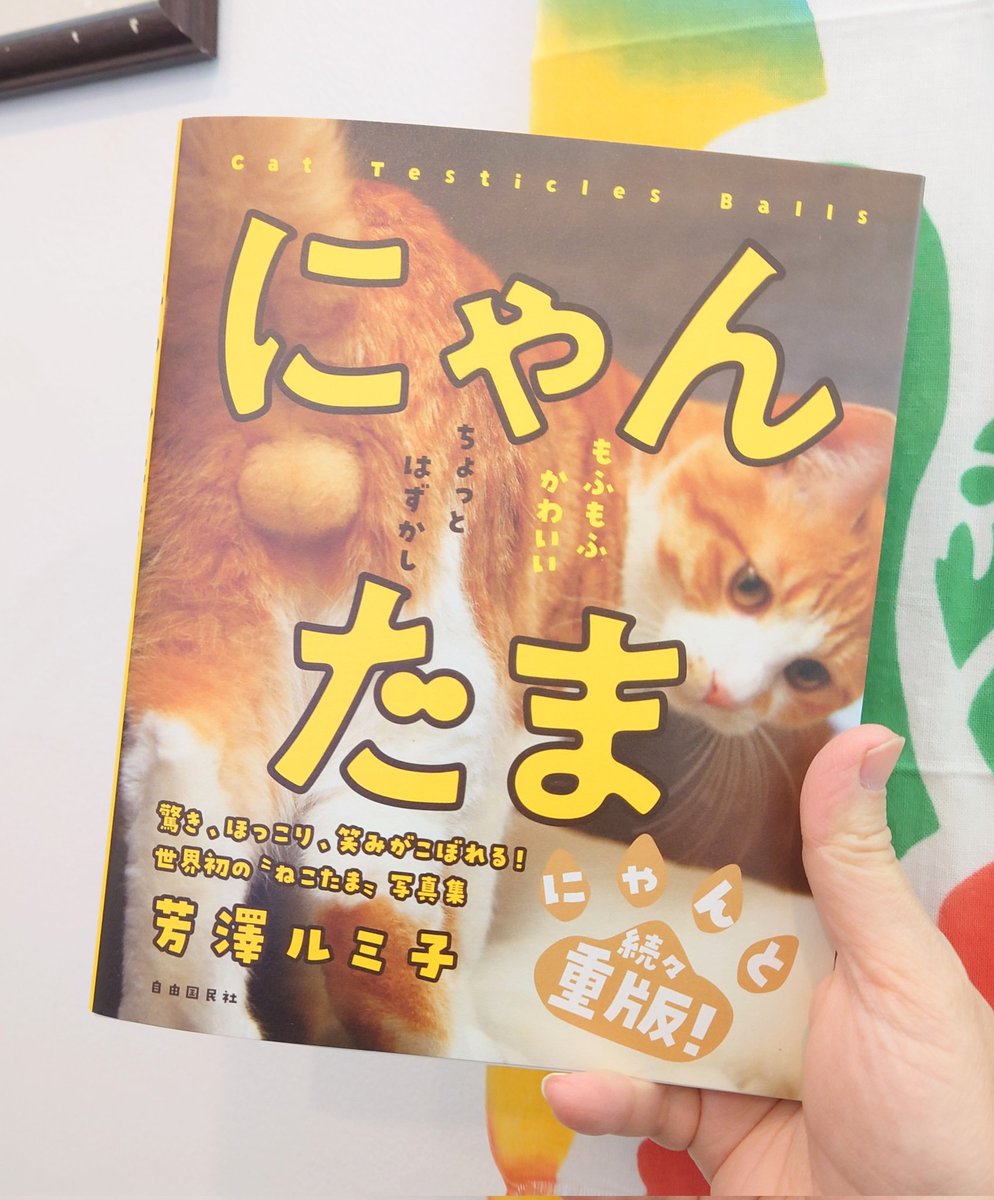 すごい！9刷ですって！ 芳澤ルミ子さんの「にゃんたま」表紙が