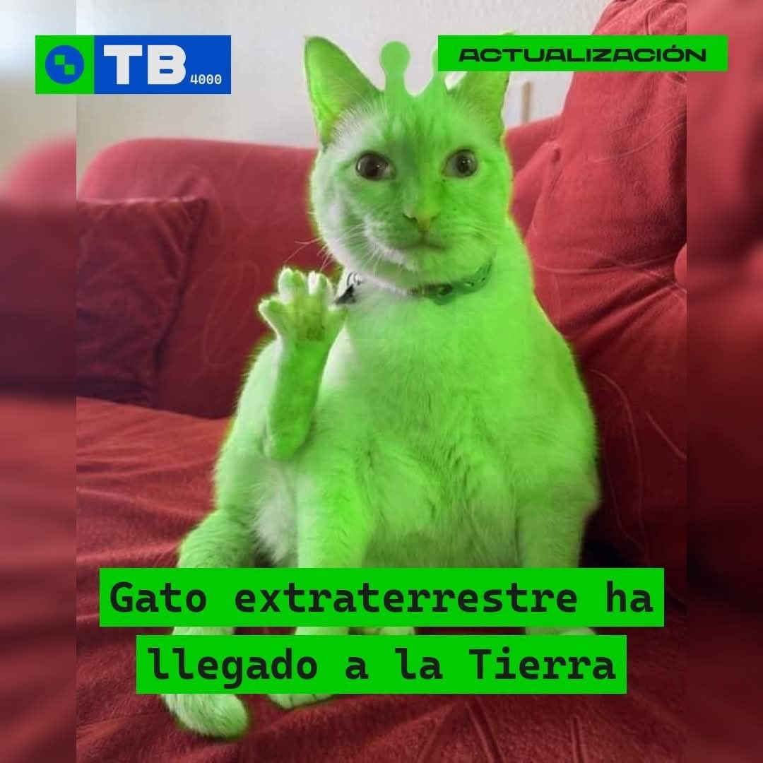 Oreowu 🎀🍒 EMERGENCY COMMISSIONS! tweet media