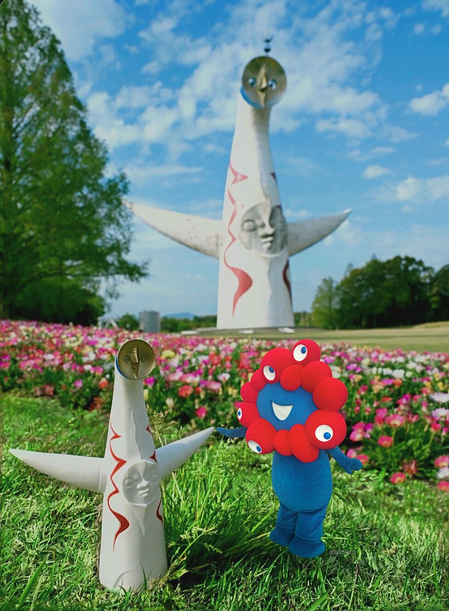 めぐ｜写真 (@TwinsMeg11) / Posts / X