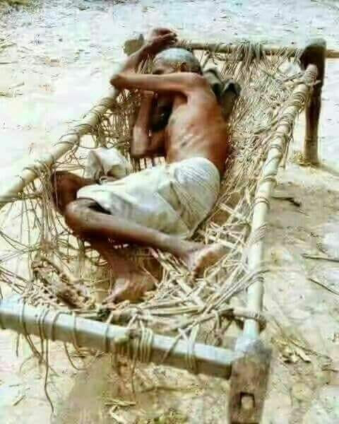 एक सूखा पेड़ पड़ा है अकेला आंगन में
कौन कहता है सिर्फ बच्चे अनाथ होते हैं...