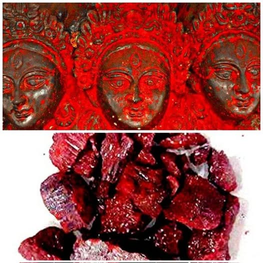 कामाख्ये कामसम्पन्ने कामेश्वरि हरप्रिये ।
कामनां देहि मे नित्यं कामेश्वरि नमोऽस्तु ते
जय माँ कामाख्या