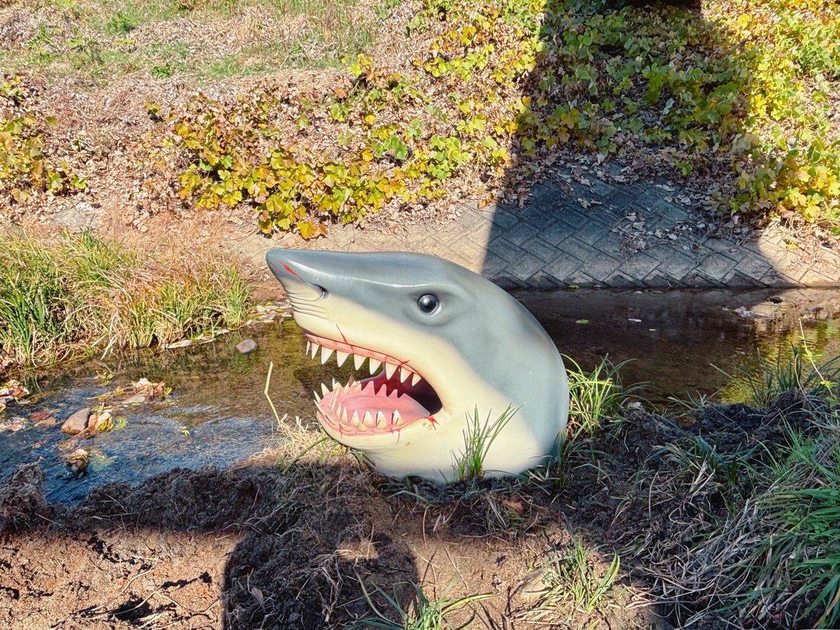 ほげい（ほげほげ） (@hogei_with_yzak) / Posts / X