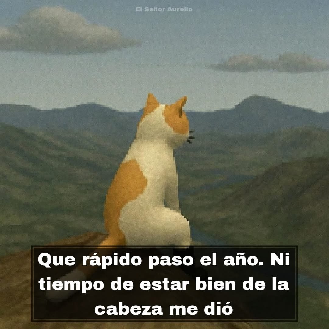 Dilo con gatitoz (@dilocongatitoz) on Twitter photo 