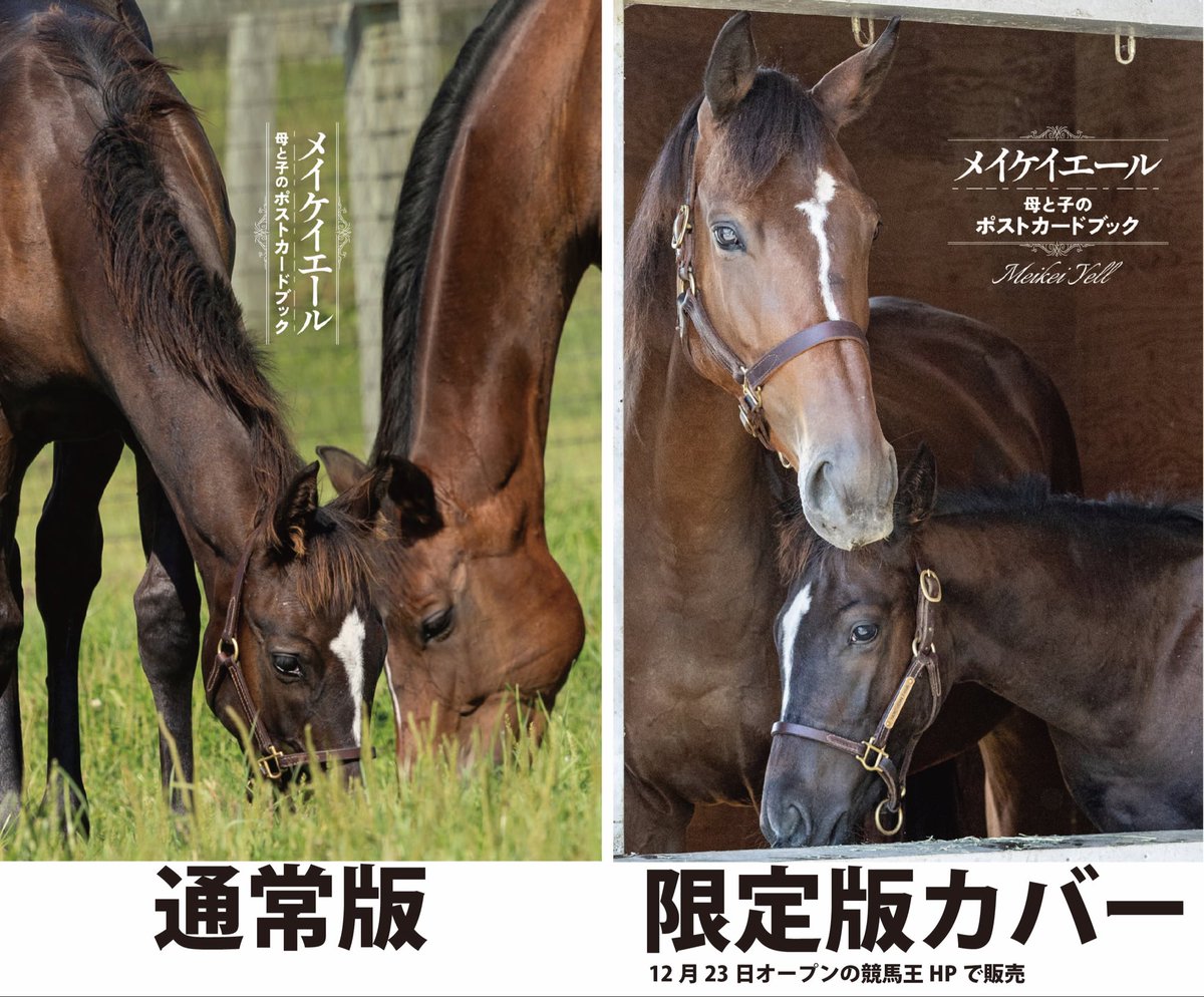 競馬王』公式 (@keibaoh) / Posts / X