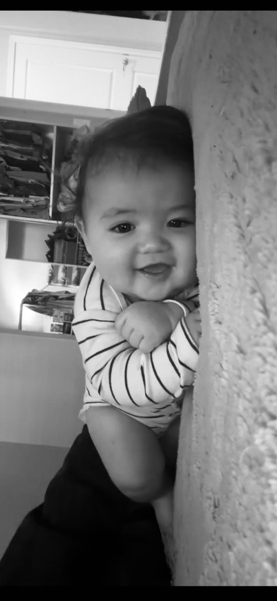 BlessingsTtv's tweet photo. My sweet boy passed away on the 6th this month. I’ll miss you so much Nicky, I hope your uncle guides and I know god was just protecting you from whatever pain in your future. Fly high baby boy https://t.co/iMKCWtr38a