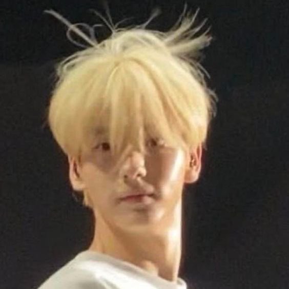 soob247's tweet image. bunny