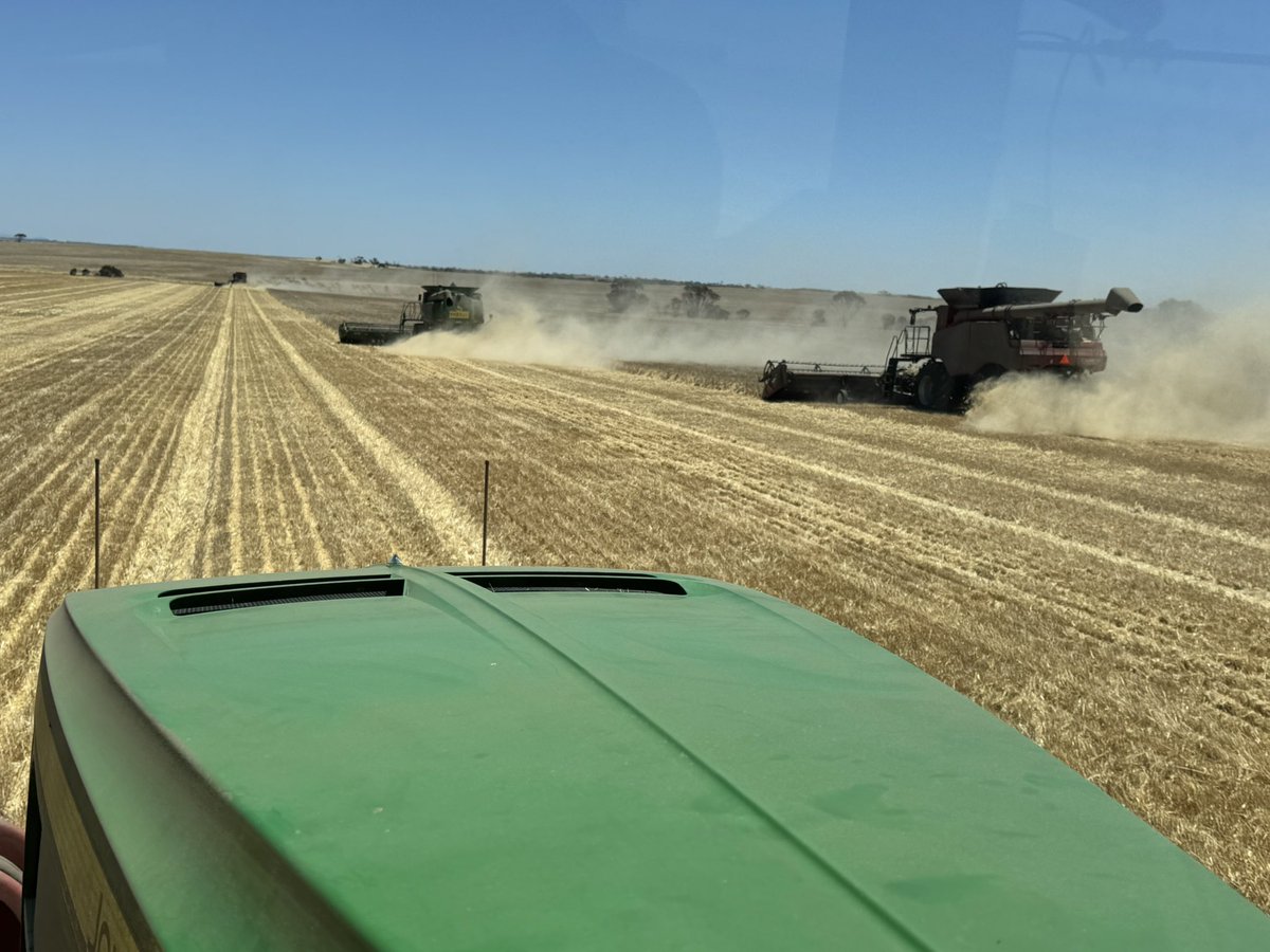 Paul O'Meehan tweet media