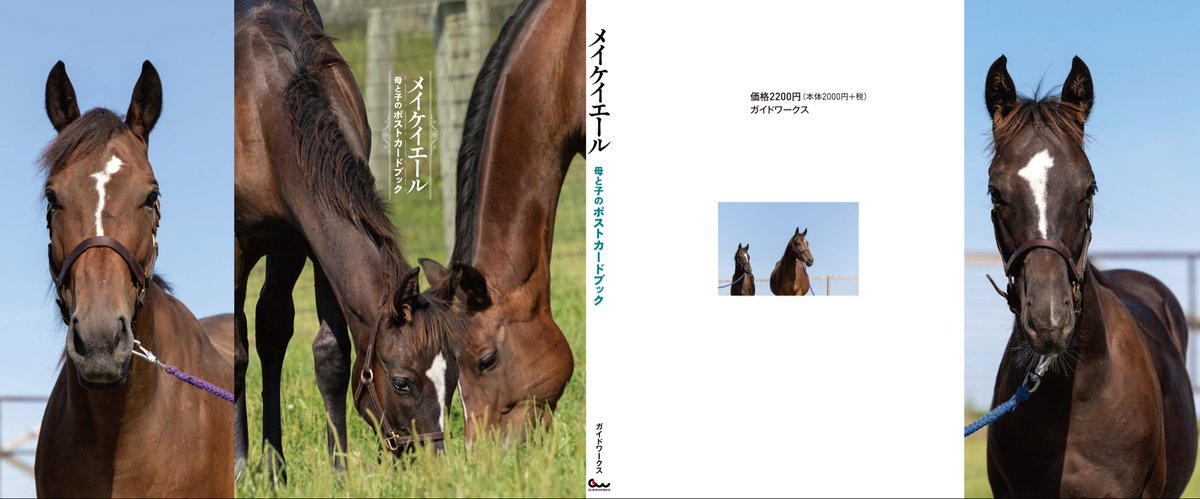 ぽこあぽこ (@pocoapoco_mk) / Posts / X