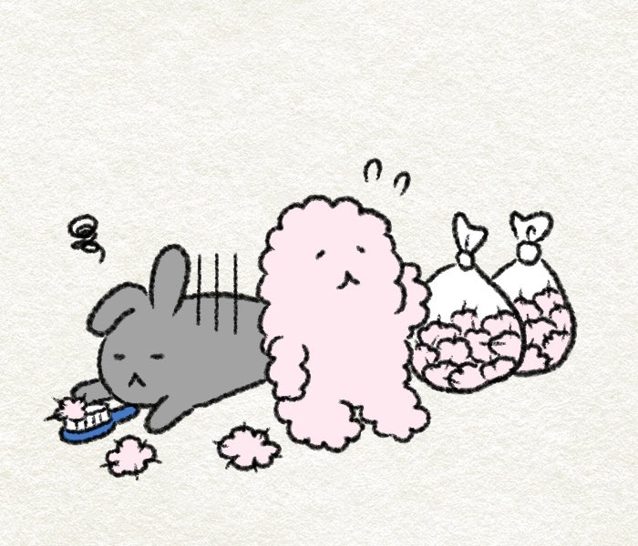 うさぎXうさぎ usagino🐰 (@usagino3374) / Posts / X