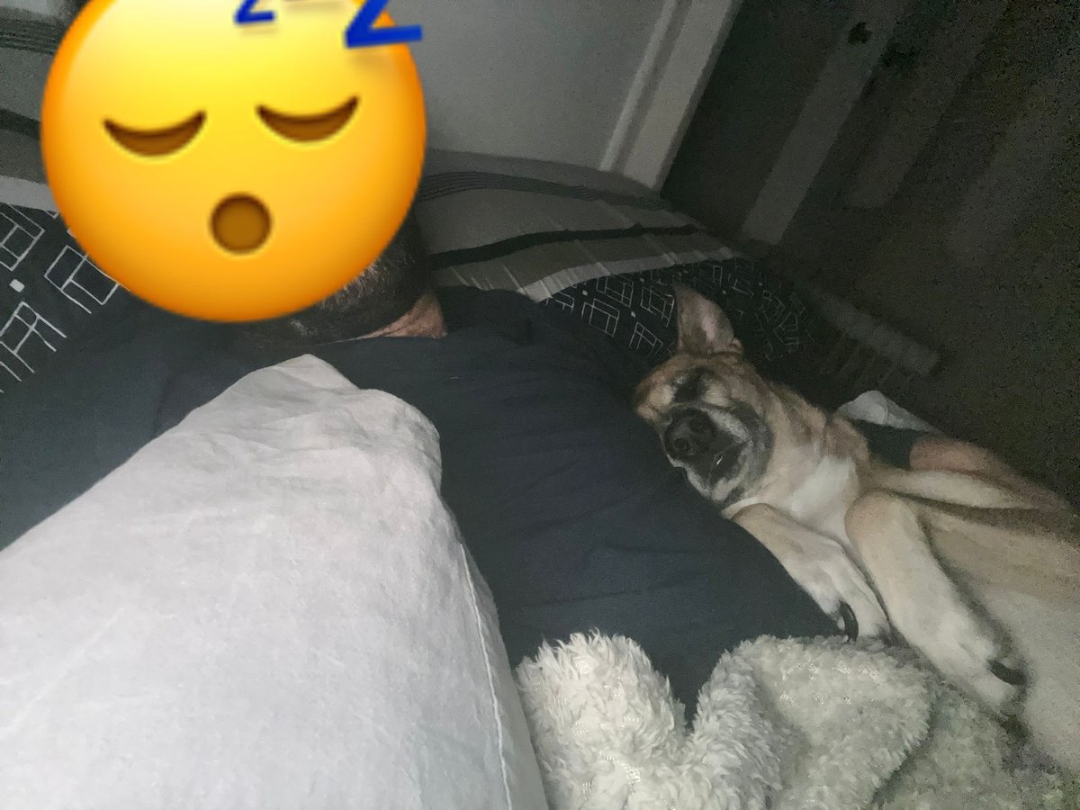 איך קמים מהמיטה?🙈