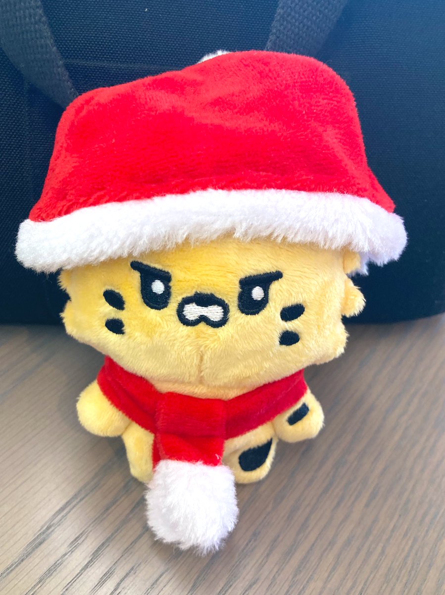 ちょい早だけどクリスマス堪能🎄.*🎅