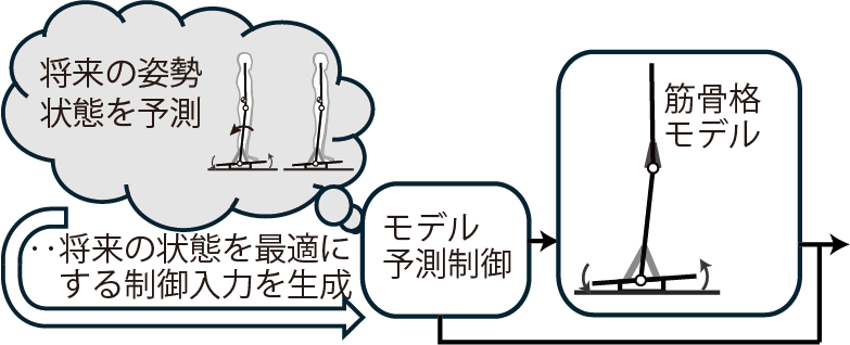 funato_lab's tweet photo. 研究紹介③
床が傾くと予想される環境で立つと、傾く前に重心を動かす予測動作が現れますが、小脳に疾患を持つ患者さんではこの機能が低下する傾向があります。このような予測動作が脳のどのような原理で作られているかという課題に、力学シミュレーションや患者さんの計測・解析を通して迫っています https://t.co/RIyVS8HF52