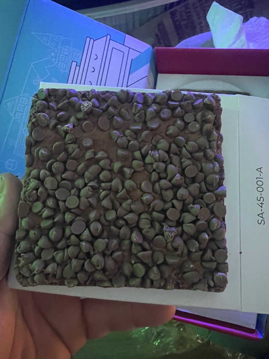 YoungGun tweet media