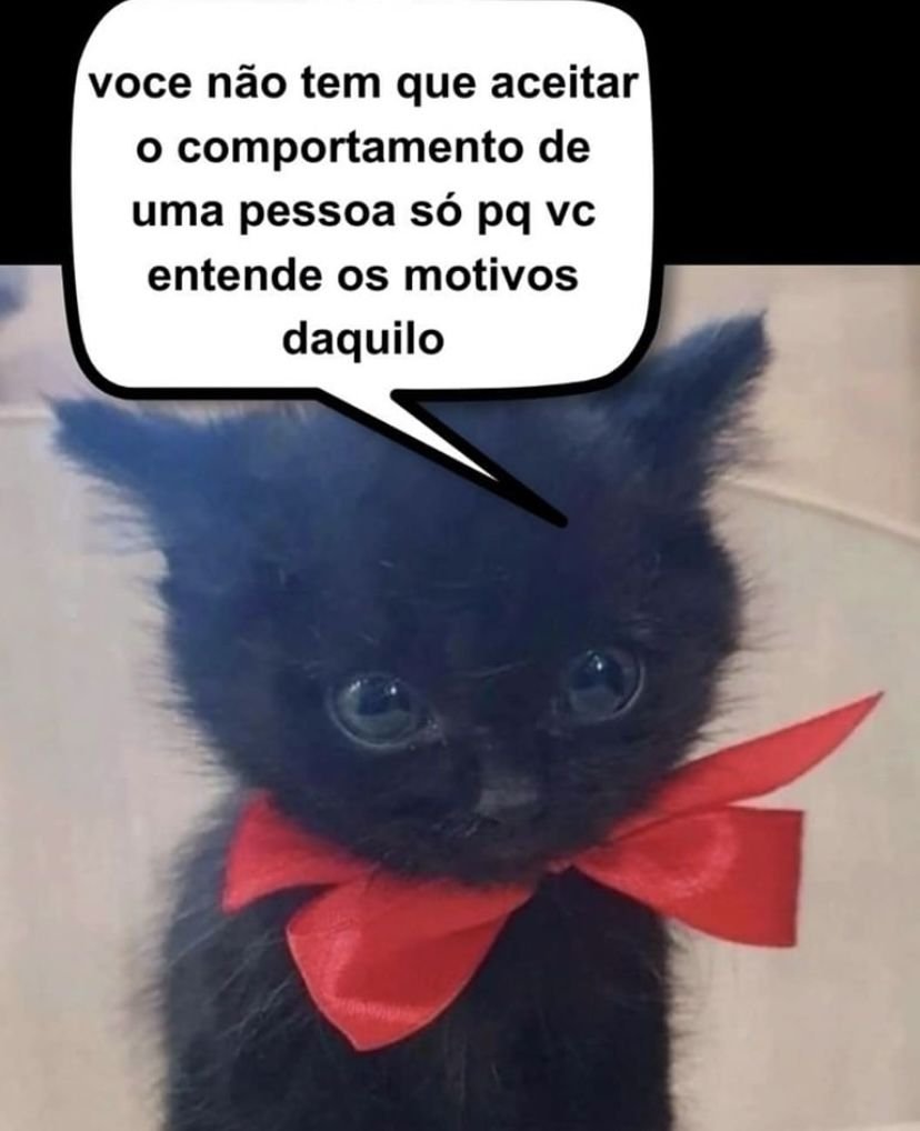 odeiootaco's tweet photo. https://t.co/qqdjUNzNVh