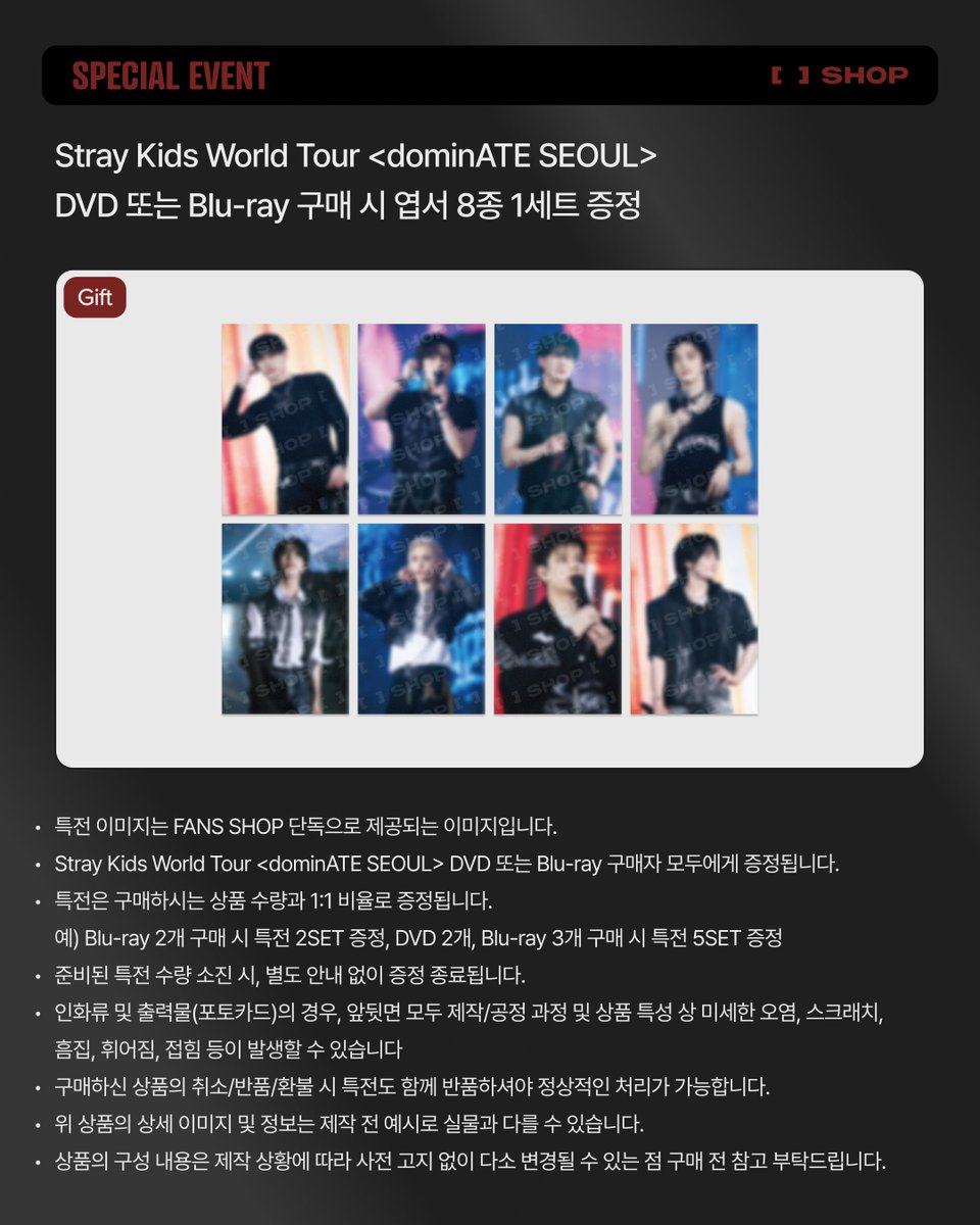 Stray Kids World Tour <dominATE SEOUL> ソウルコンの円盤 Qoo10にて