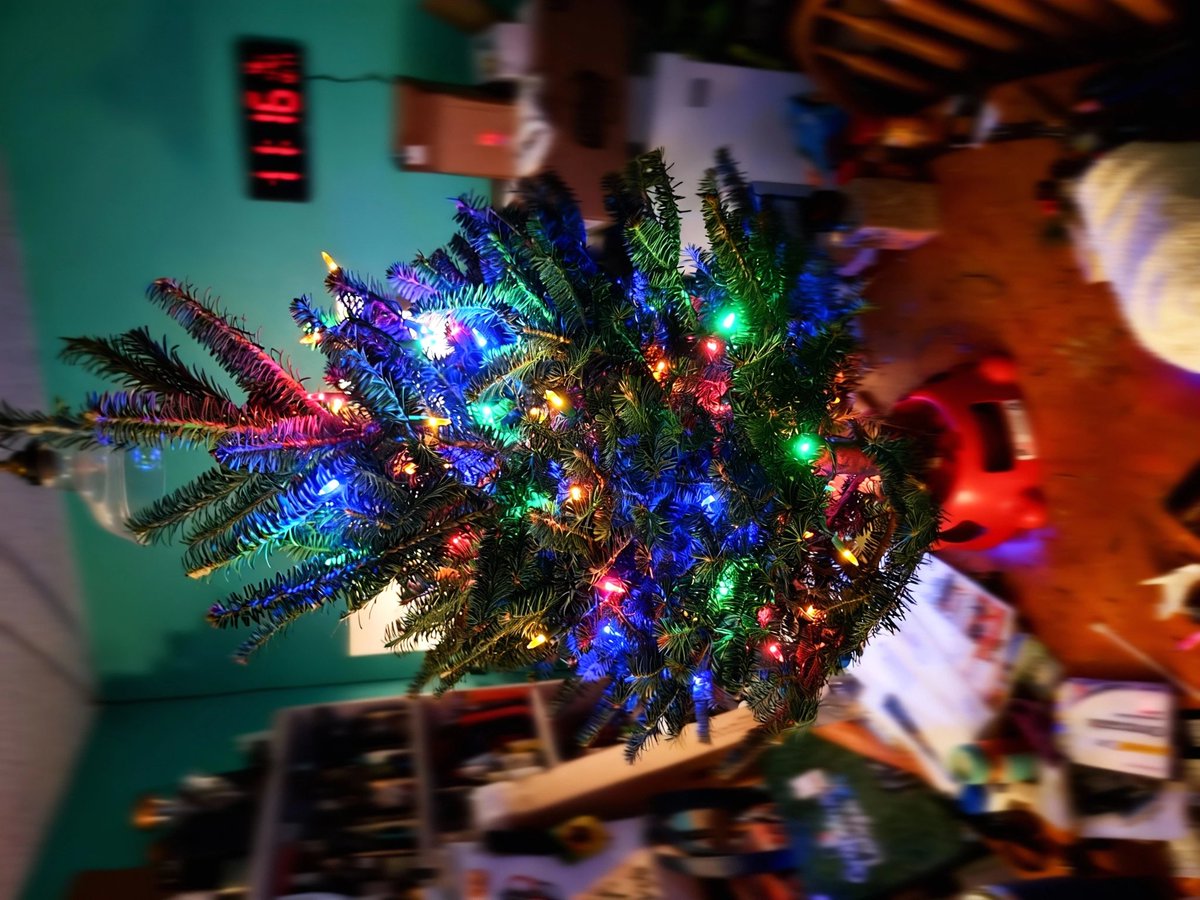 This is as festive as it gets in the Fortress of Solitude for Christmas. Nice thing was this table top tree was only 20 bucks at <a href="/Costco/">Costco</a> and has a very nice pine smell...