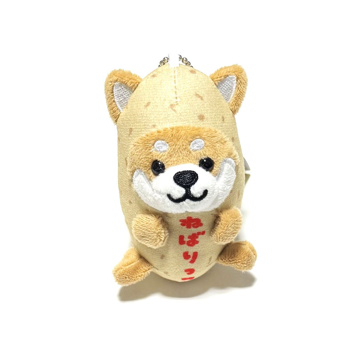 旅するマメしば (@tabi_mameshiba) / Posts / X