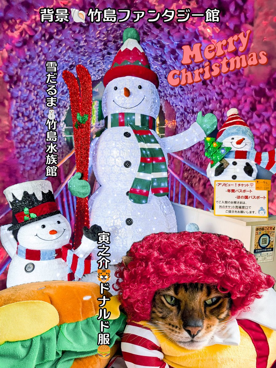 らんらんる〜 にゃんにゃんるぅ〜😸 背景は竹島ファンタジー館