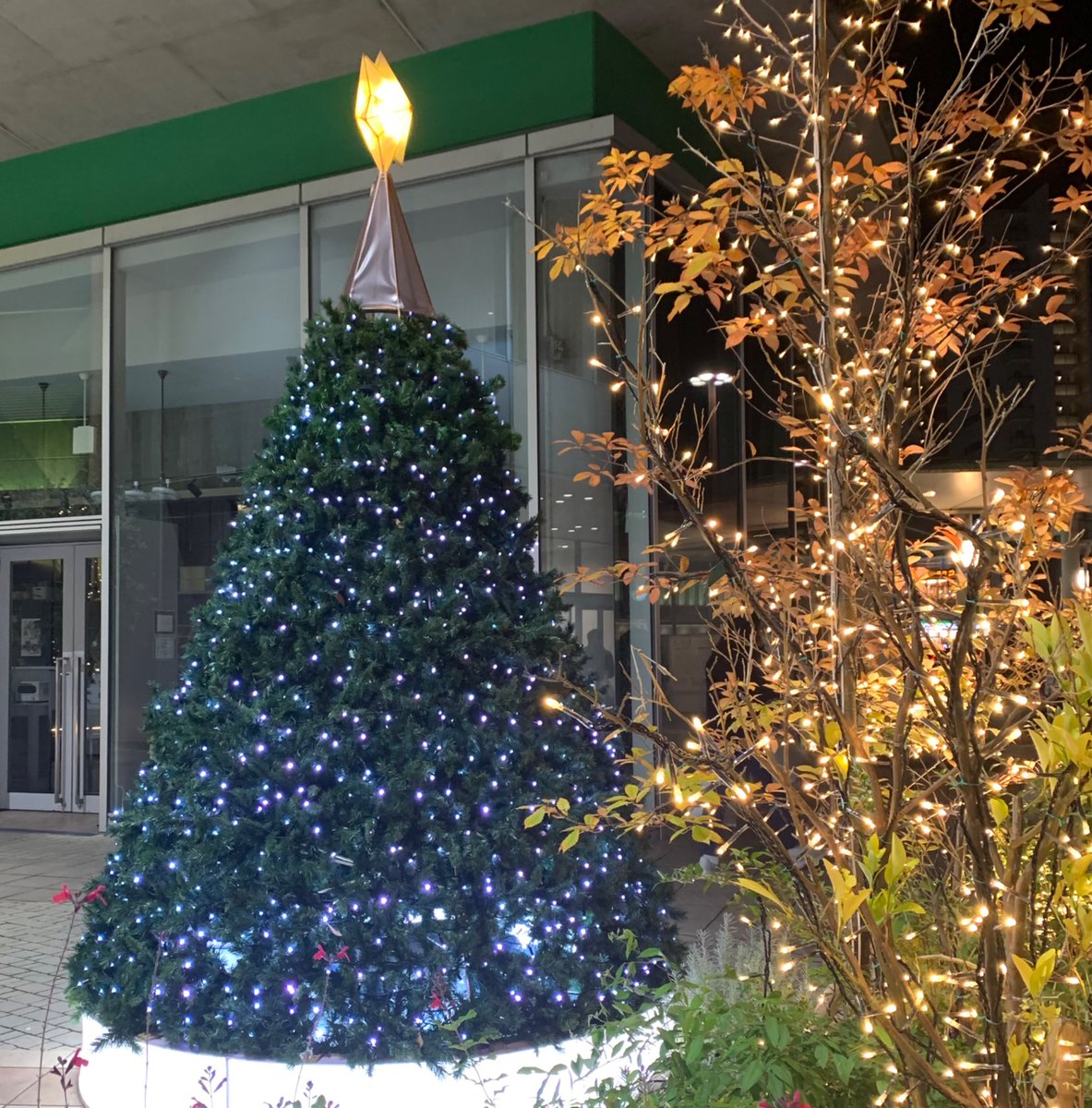 12/5 小玉晃先生のご指導でした😊
#ヨハネ受難曲   21.22.23bd
🌕2週かけてじっくり、21.22.23を練習しました。本番まで、何回か繰り返しながら、深めていきます。🎶
⛄️今日のポイント⛄️
❄️大きなスケールで歌う🎶
❄️アルトとテナーは、なかよし🎵

見学体験入団大歓迎‼️
街の🎄