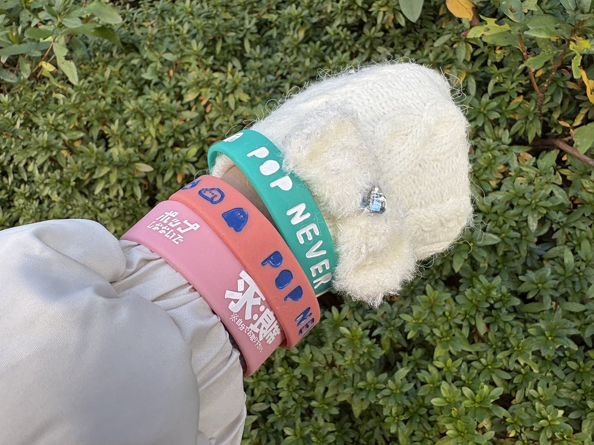 寒いし風が強い！
お外ライブ大変そうだなぁ
これから先に市民ギャラリーも行ってきます🥰