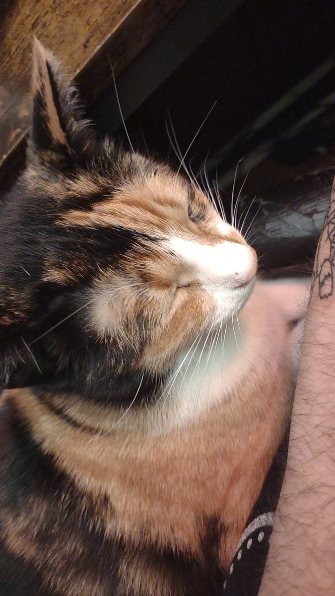 lazer 🛸 tweet media