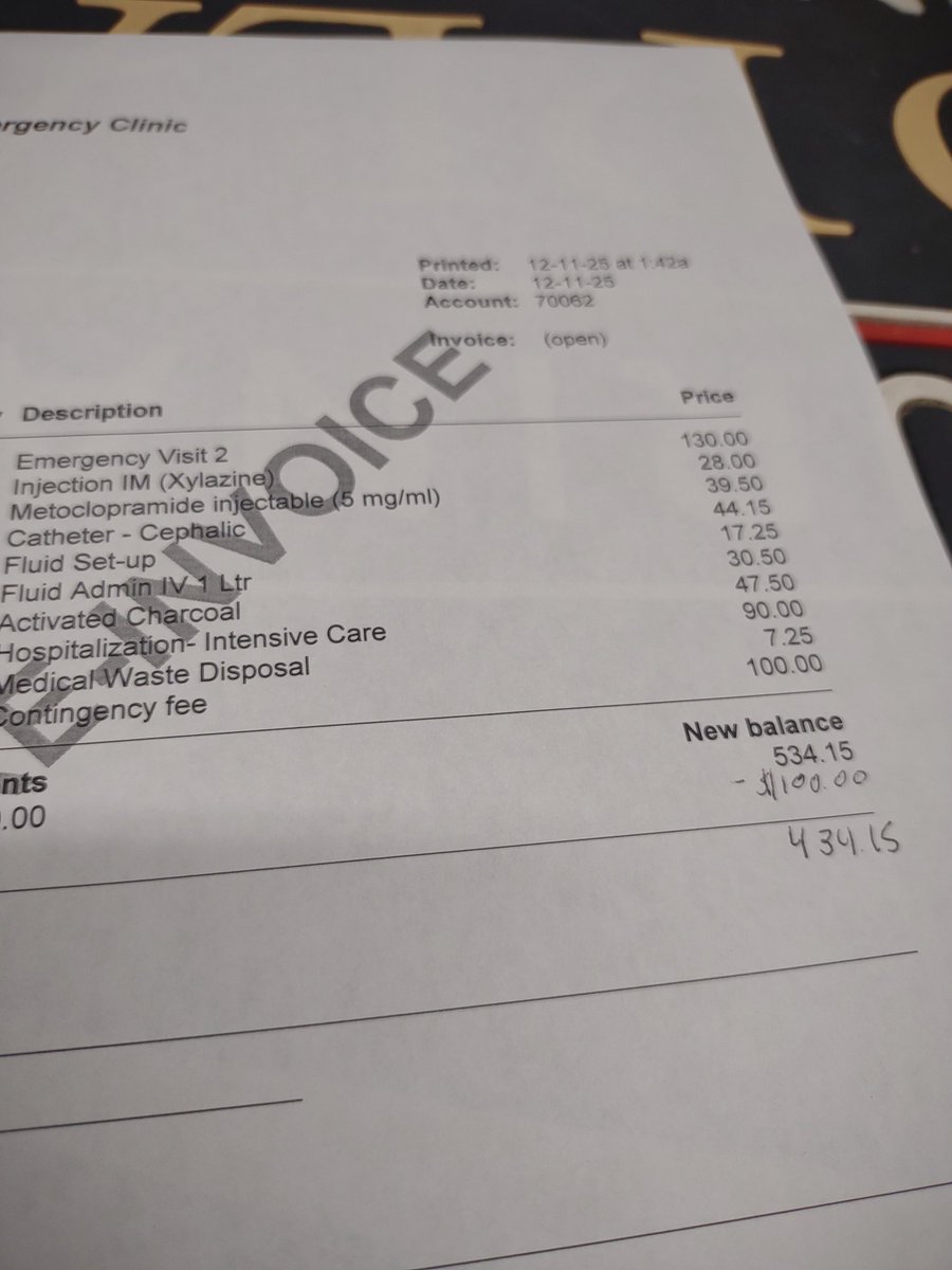 lazer 🛸 tweet media