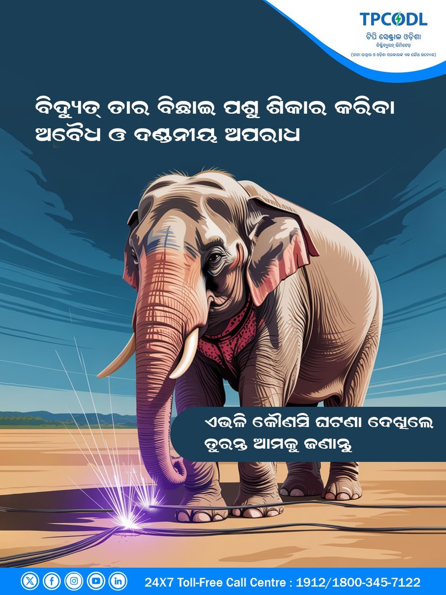 TPCentralOdisha's tweet photo. ହାତୀଙ୍କ ସୁରକ୍ଷା ପାଇଁ ସଂକଳ୍ପ ନେବା । ବିଦ୍ୟୁତ୍ ତାର ଲଗାଇ ହାତୀ ଶିକାର ବନ୍ଦ କରିବା ସହ ଏଭଳି ଘଟଣା ଆପଣଙ୍କ ନଜରକୁ ଆସିଲେ ତୁରନ୍ତ ନିକଟସ୍ଥ ବିଦ୍ୟୁତ୍ କାର୍ଯ୍ୟାଳୟ କିମ୍ବା ବନ ବିଭାଗକୁ ଜଣାନ୍ତୁ।
#TPCODL #SaveElephant #StopPoaching https://t.co/fabOfn1Y8Y