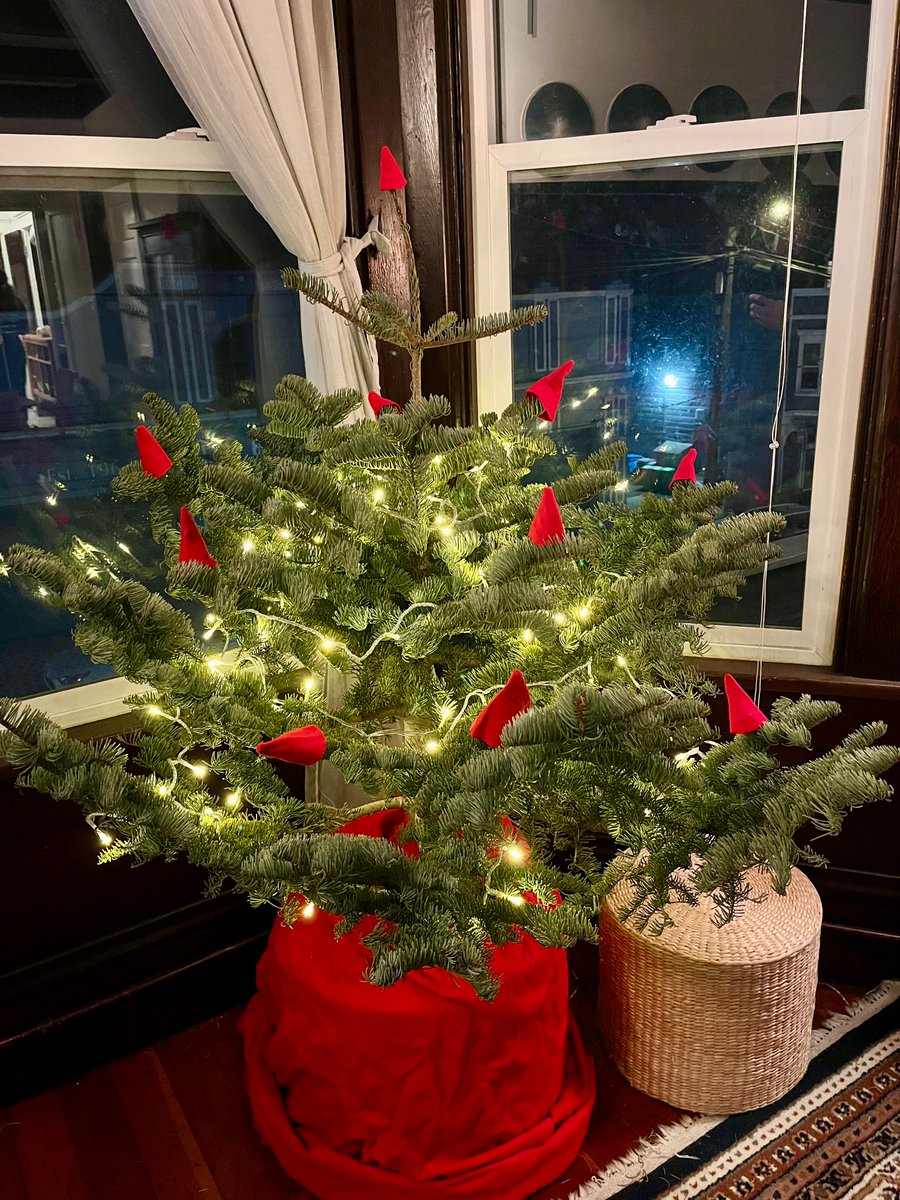 gnomely little christmas guy