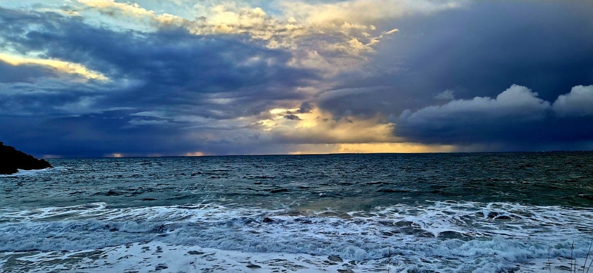 ariel STRABONI tweet media