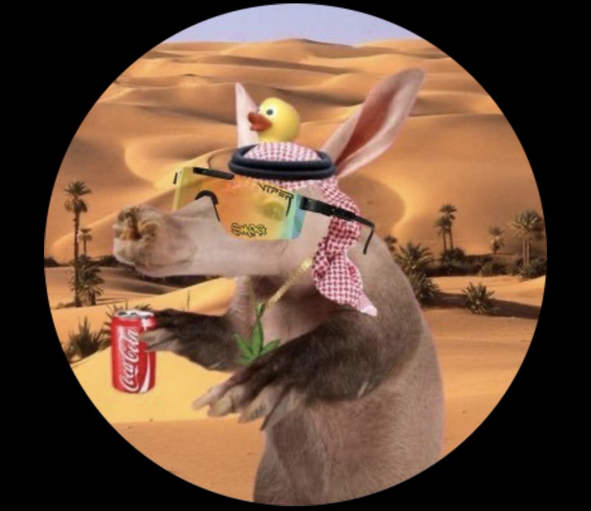 PattyIce tweet media