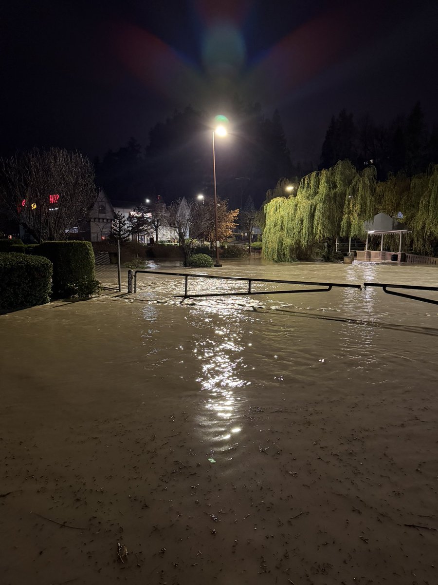 Shawn Mullaly tweet media