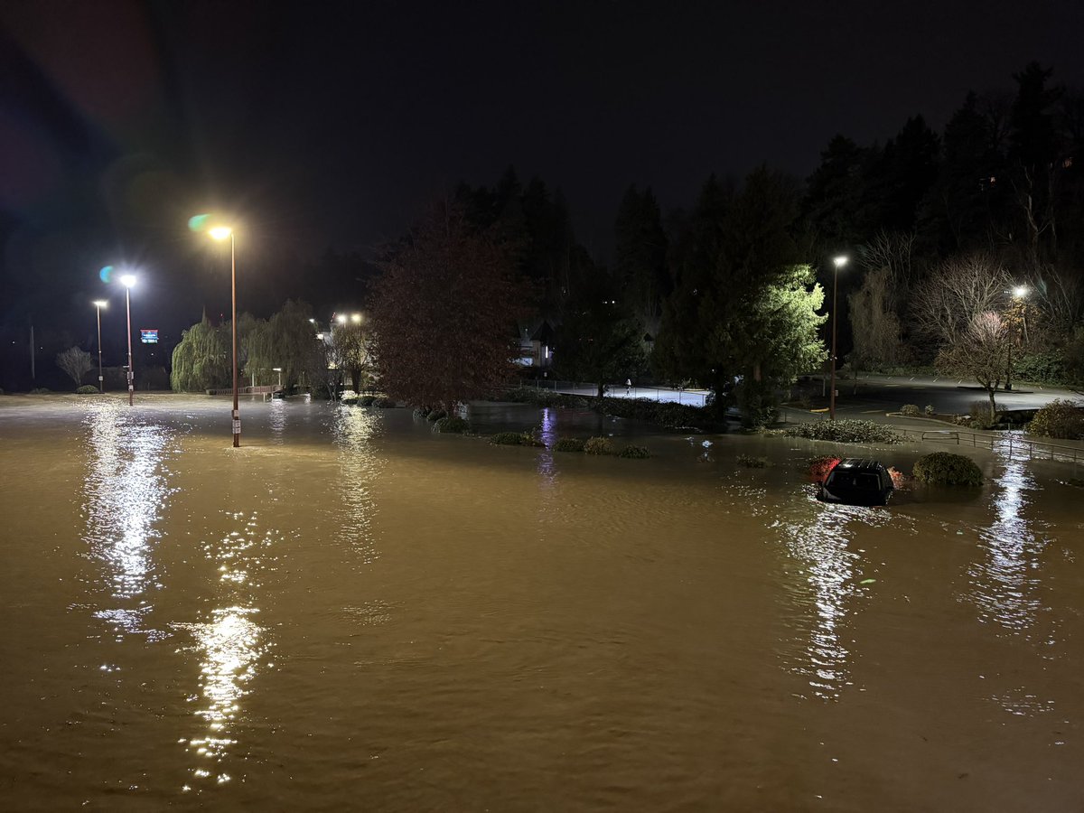 Shawn Mullaly tweet media