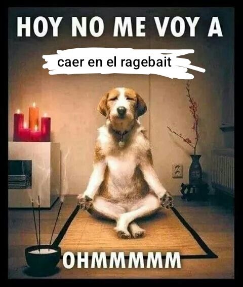 Felipunks tweet media