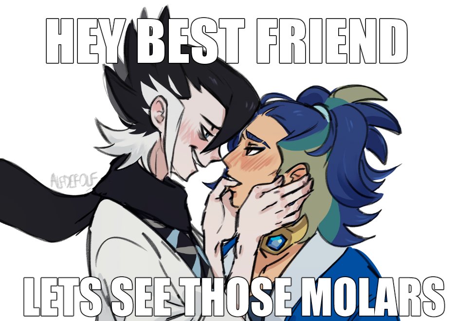 alfdefolf's tweet photo. i'm going to bed https://t.co/DBPdXsi9GH