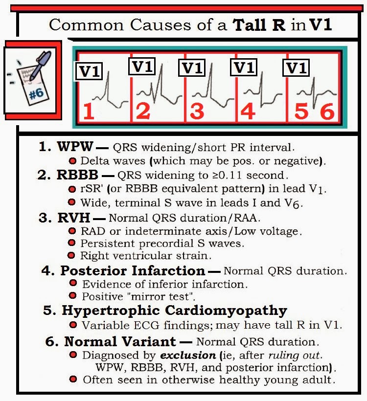 CardiovascularCorner tweet media