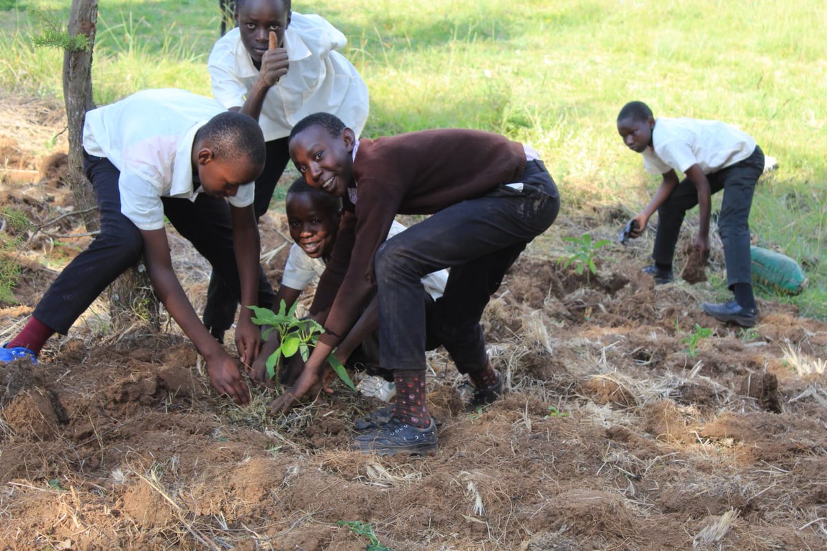 Delugees 🌱🇰🇪🌳 tweet media