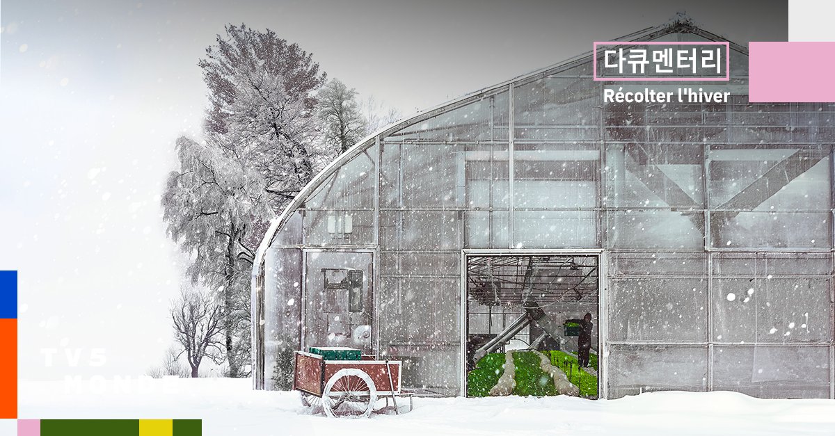 추위 속에서 피어난 삶의 온기🌱 우리가 쉽게 지나친 계절의 뒷면 

<겨울 수확>🎥 #다큐멘터리추천

혹독한 겨울, 얼어붙은 들판과 싸우며 살아가는 이들. 

눈, 얼음, 추위 속에서도 포기하지 않는 농부들의 일상.

12월 13일 (토) 오후 4시 #스트리밍 #다시보기
apac.tv5monde.com/ko/shows/3519