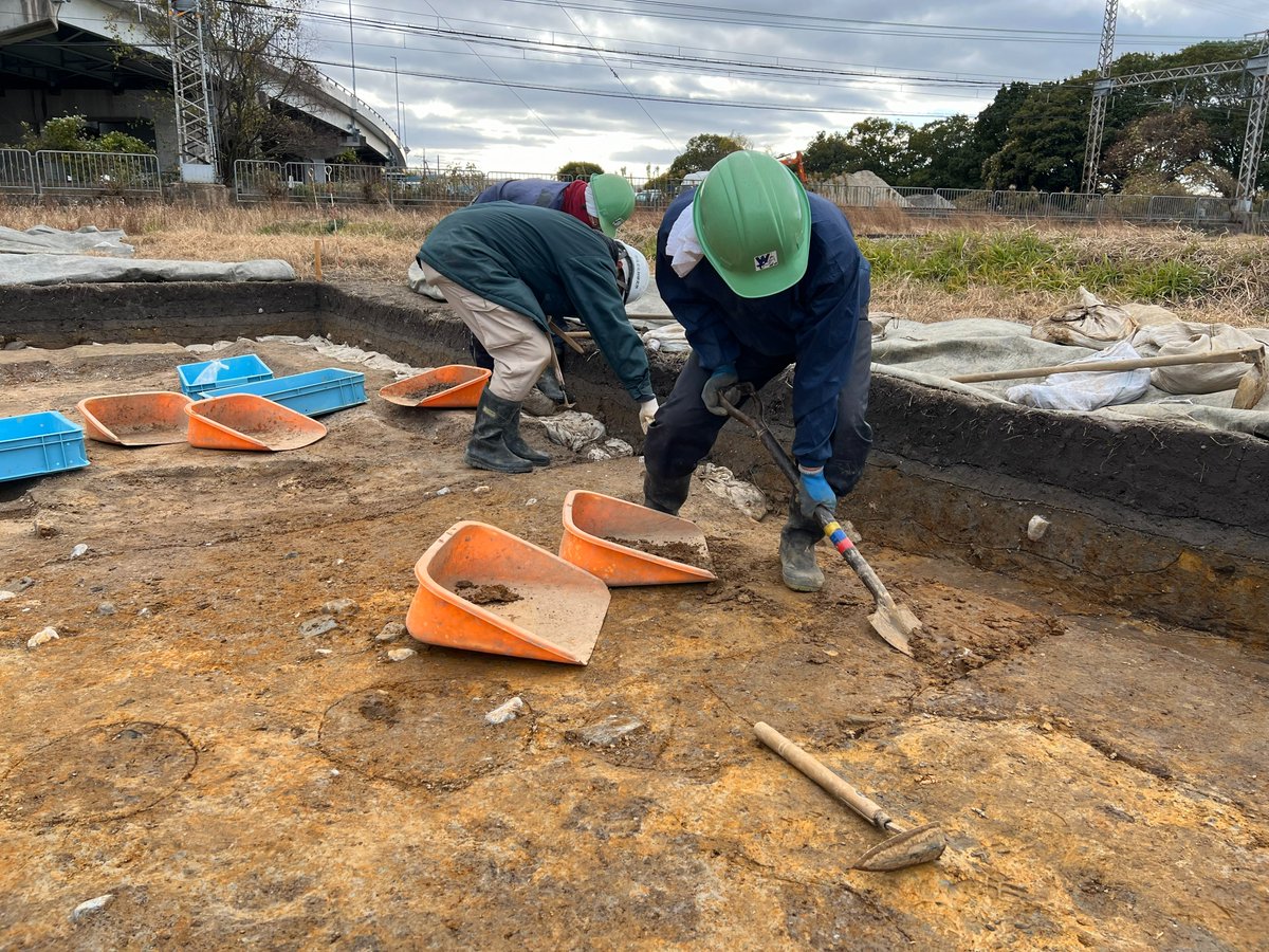 #東院南方遺跡 の発掘調査が始まりました‼️
冬の寒空のもと遺構の確認作業中🚧
柱穴などが見つかっているようです🫢
#奈文研
#平城宮跡
#考古学