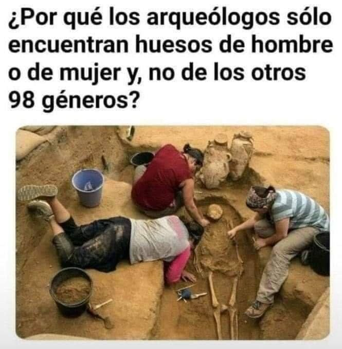 PGonz8's tweet photo. A ver. Sí y no. Acompañadme en esta cuestión de METODOLOGÍA. Lo primero: es irrelevante si te gusta que haya personas trans o no, o qué pienses de esas personas, es una cuestión social que existe, así que la arqueología DEBE tenerlo en cuenta. https://t.co/vkZWmgANF0